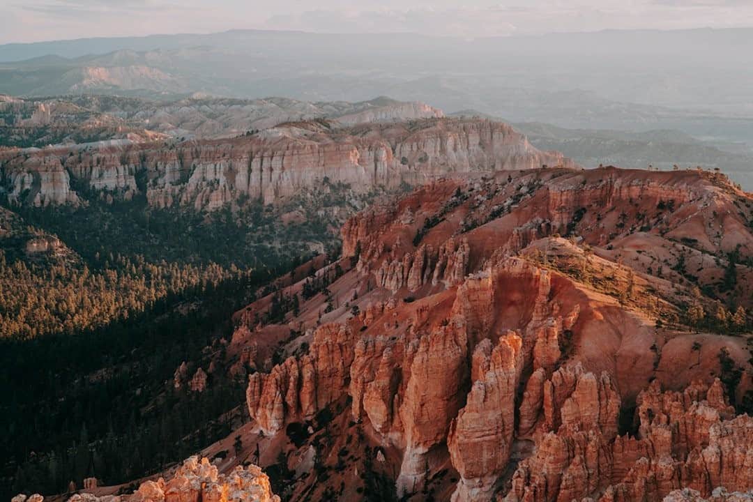 National Geographic Travelさんのインスタグラム写真 - (National Geographic TravelInstagram)「Photo by Matt Borowick @mborowick  An incredible blast of reds and oranges from the rock walls mixes with deep forest greens at sunrise. You can’t go wrong driving around Bryce Canyon National Park in Utah. Pretty much everywhere you look will be another beautiful and breathtaking scene like this one. Follow @mborowick for more pictures like this. #sunrise #brycecanyon #adventure #utah #mountains」9月6日 13時10分 - natgeotravel