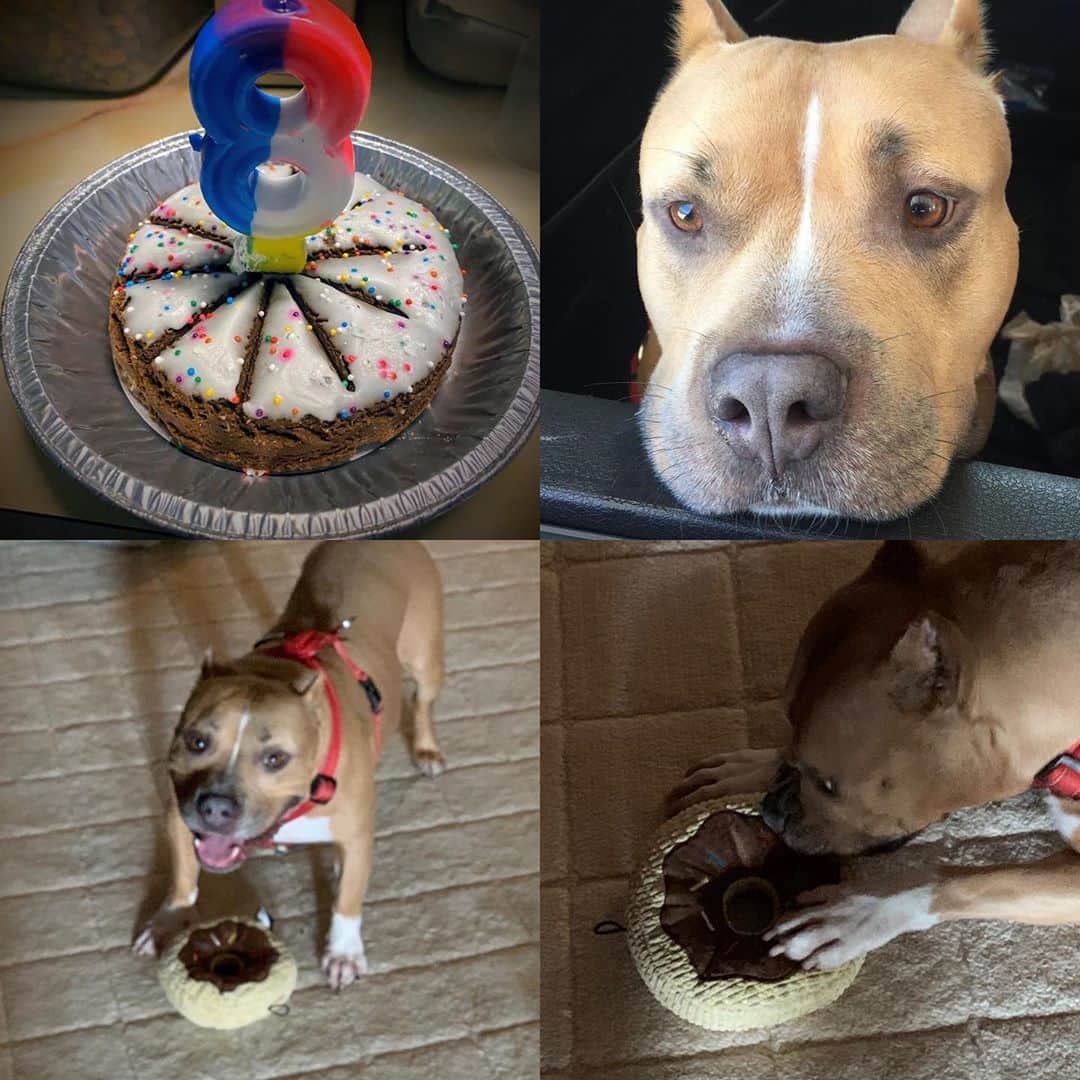 テヴィタ・フィフィタのインスタグラム：「Happy Birthday my boy! 8 years old! 🎉🥳🎉🥳🎉 just like his daddy he loves them donuts! #birthdayboy🎉」