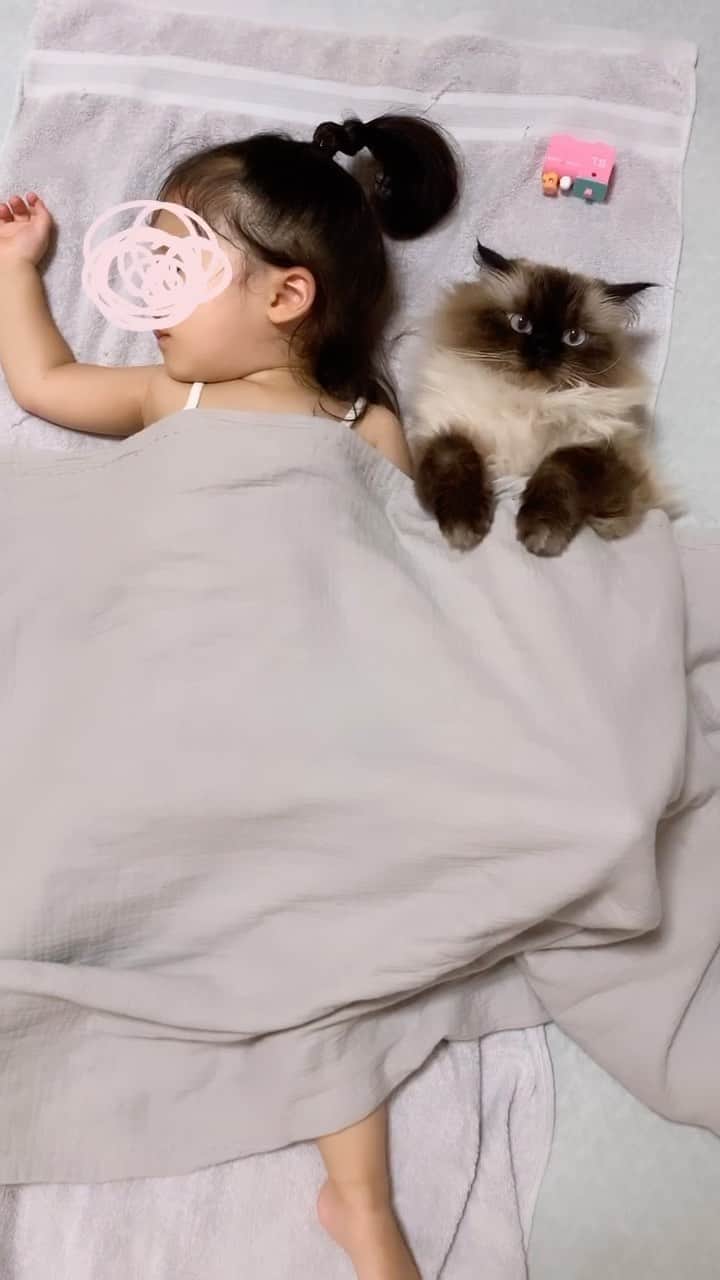 plumeのインスタグラム
