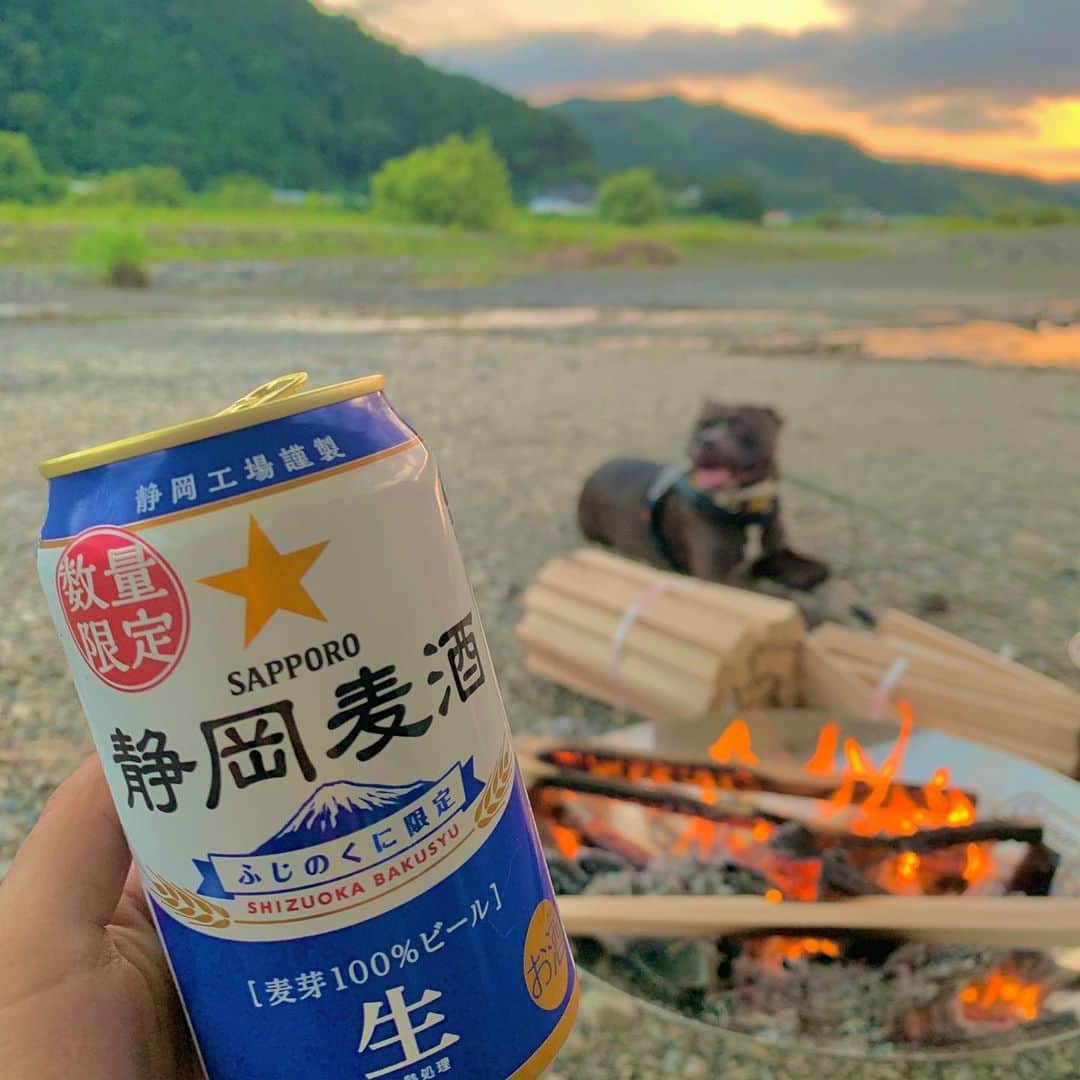 鷲巣綾乃さんのインスタグラム写真 - (鷲巣綾乃Instagram)「. . . . #夏の思い出 #夏キャンプ 🔥 #Camp #犬用ライフジャケット 装着して 一緒に川入った最高〜❤️❤️ . . .」9月6日 8時15分 - ayano_wsz