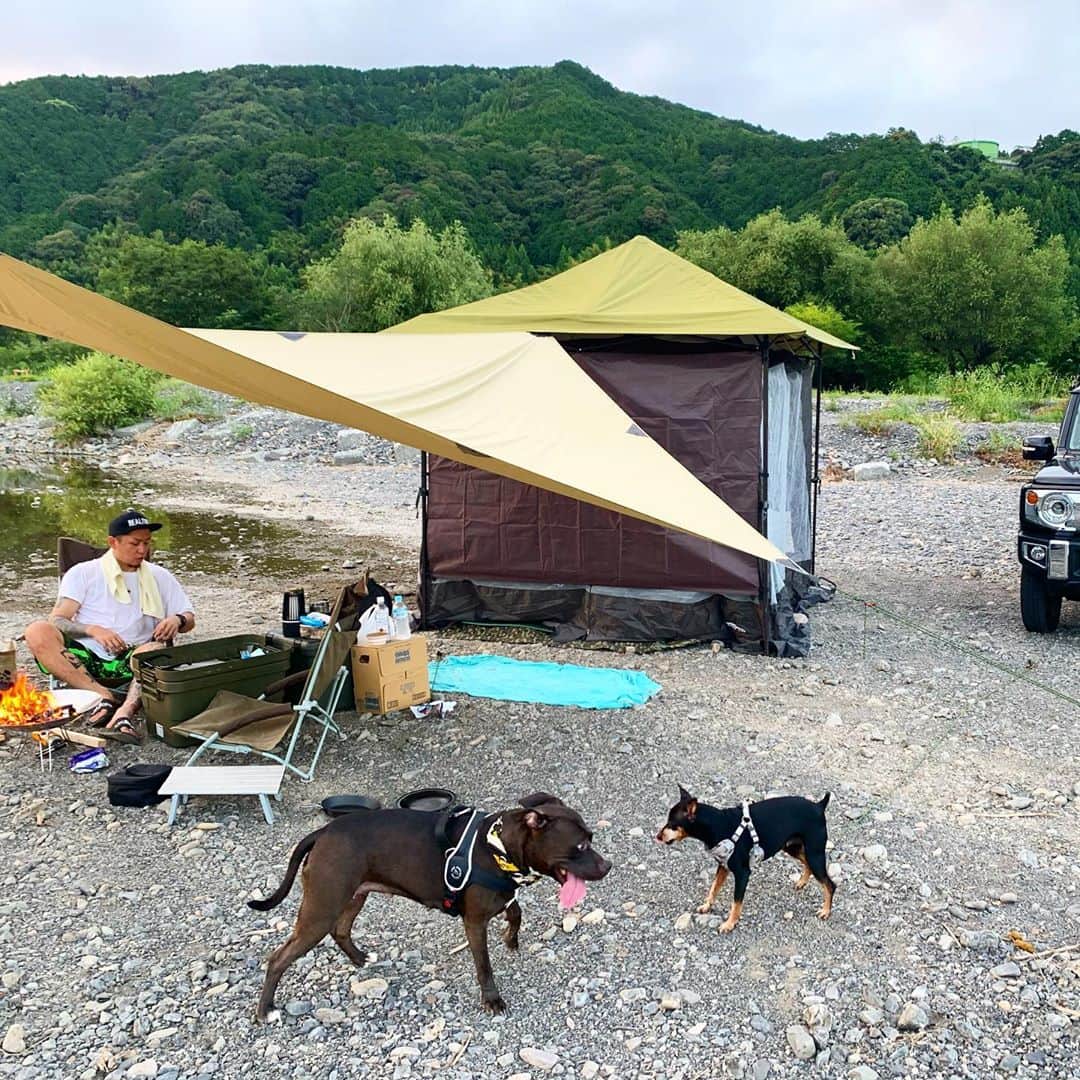 鷲巣綾乃さんのインスタグラム写真 - (鷲巣綾乃Instagram)「. . . . #夏の思い出 #夏キャンプ 🔥 #Camp #犬用ライフジャケット 装着して 一緒に川入った最高〜❤️❤️ . . .」9月6日 8時15分 - ayano_wsz