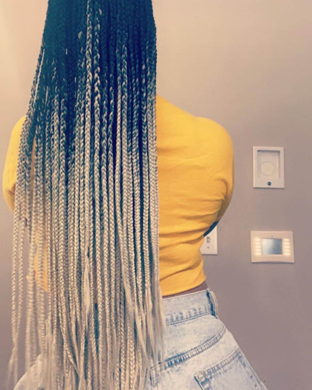 エリカ・キャンベルさんのインスタグラム写真 - (エリカ・キャンベルInstagram)「When you call your sister @_itsme_jam Jazzmine and she hooks you up real quick #braids #braiding  hit her up😊😊😜 she doesn’t braid super tight  the braids are light. She protects your edges❤️」9月6日 8時19分 - imericacampbell