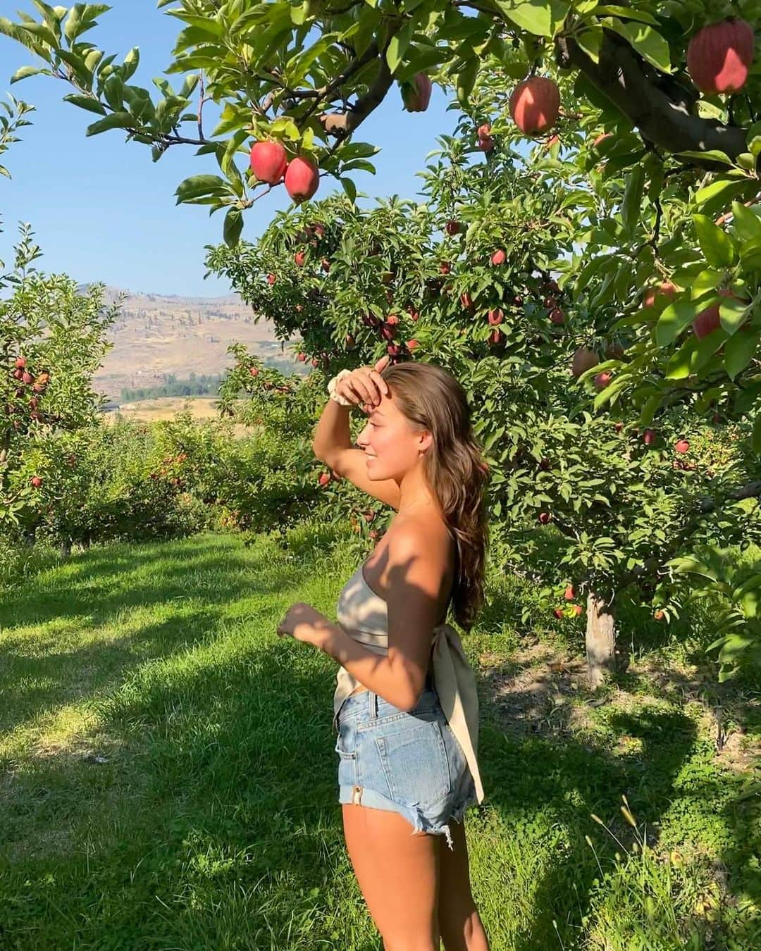 YANA DEMEESTERのインスタグラム：「Surprisingly this was taken AFTER a huge guard dog started barking at us and we ran into the orchard 🐕」