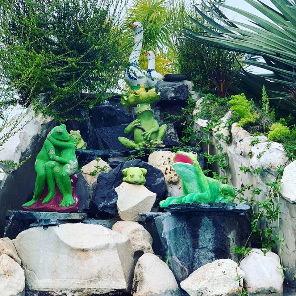 ジョーダン・ノルベルトのインスタグラム：「@haciendavistalinda」