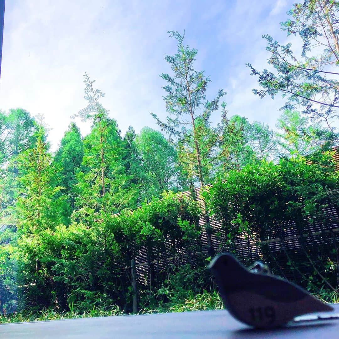 山田優依さんのインスタグラム写真 - (山田優依Instagram)「HoshinoResorts Alps . いつも星野に到着すると、すぐに浴衣に着替えて散策 . 朝はお食事前に温泉に入って、和朝食を頂いた後 また温泉に入って二度寝がルーティン☺️ . #Japan #Nagano #Alps #HoshinoResorts」9月6日 8時59分 - yui_gourmetwalker