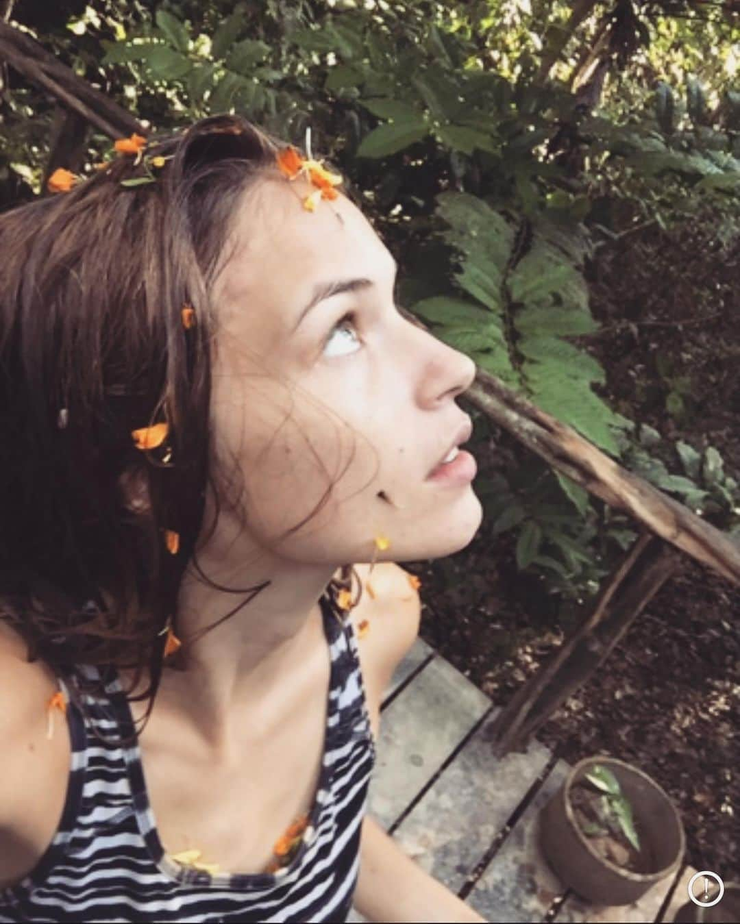 アレクシス・ナップさんのインスタグラム写真 - (アレクシス・ナップInstagram)「#AmazonRainforestDay .... our earths rainforests become more and more vulnerable each year.... 💔🌲👿🌲😞💔 what will we do to stop their destruction & regrow, 10 fold? My heart feels heavy on this day, missing Peru... aching knowing how our forests disappear because we are greedy, ignorant and lazy humans....Let’s stop being such. Be proud of our lives of selfless service & not live in guilt & regret. Here are some shares from my first trip in Iquitos 🤍💚🤍💚🤍💚 what programs & organizations for the reforestation agenda do you support? I’m looking for the right fit for me..Sound off in comments !!! Our precious trees have some neeeeds... (to simply not be fucked with, for starters) 🌲🌲🌲🌲🌲🌲🌲🌲🌲🌲🌲🌲🌲🌲🌲🌲✨💚🙌🏻」9月6日 9時16分 - alexisknapp