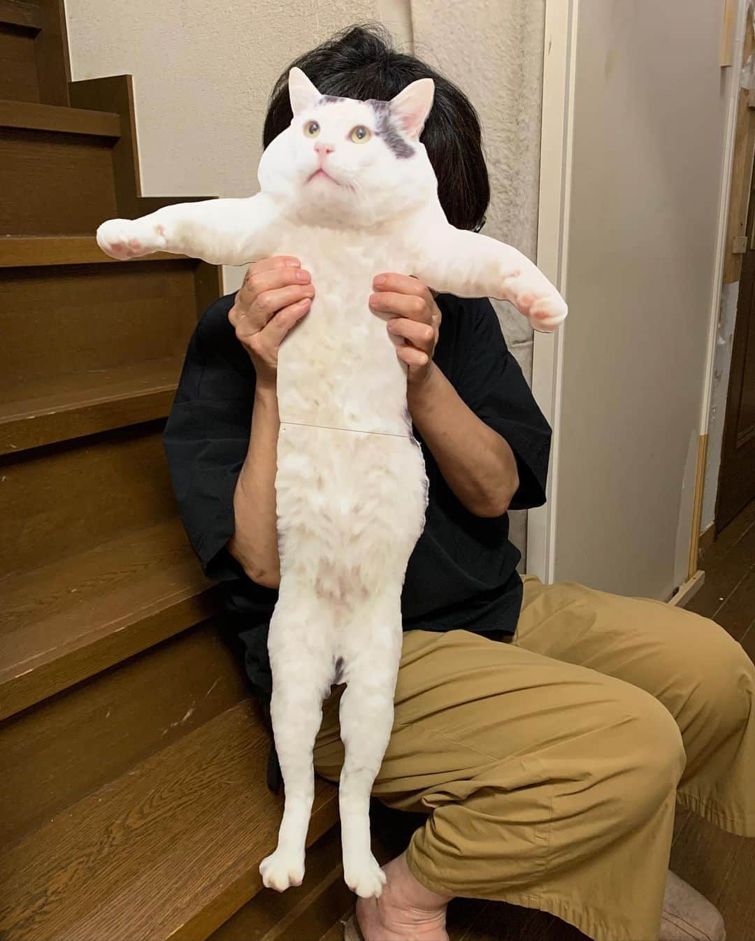 Kachimo Yoshimatsuのグルメインスタ