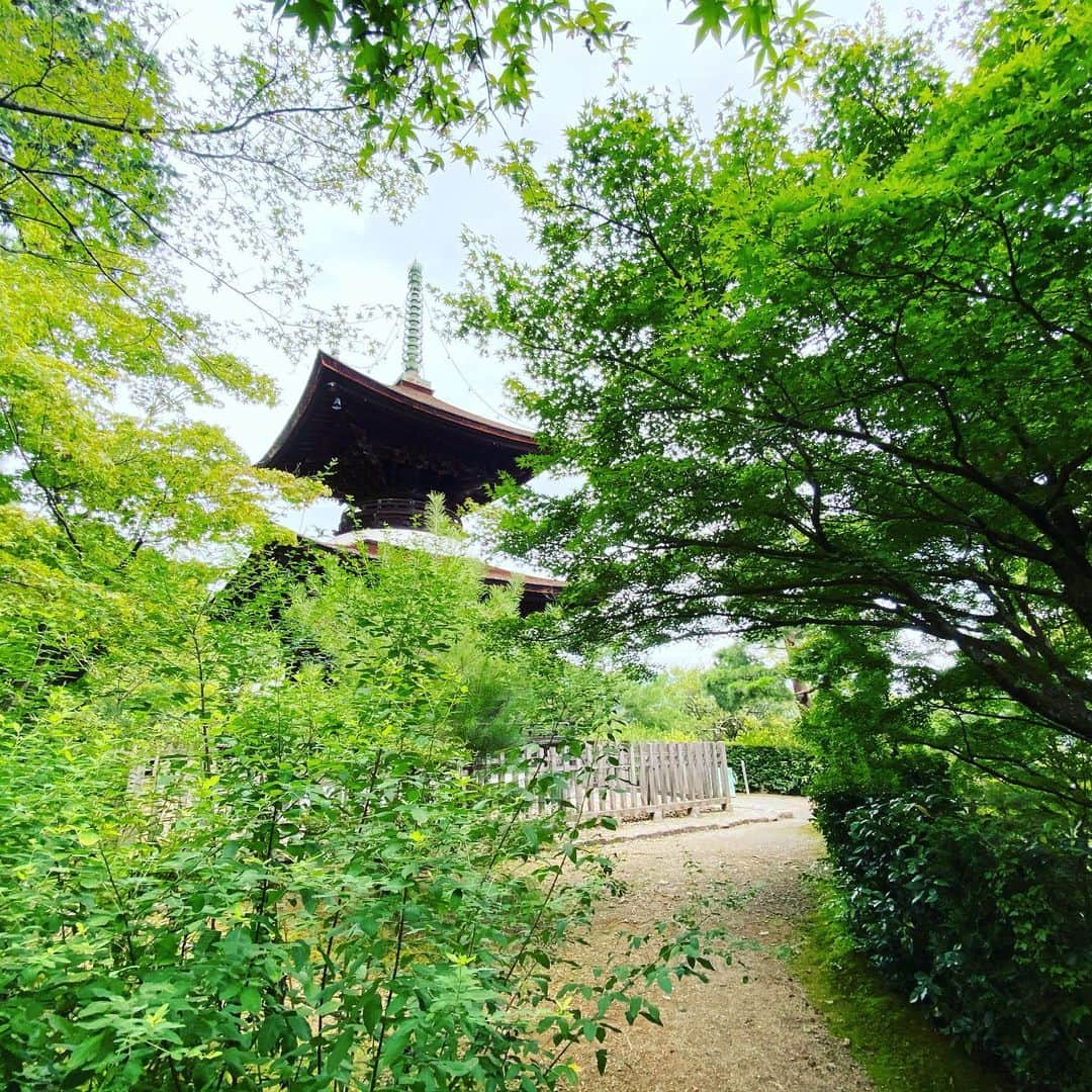 出原大樹さんのインスタグラム写真 - (出原大樹Instagram)「開門待ちで常寂光寺。もちろん誰も待ってない。 京都に住む特権。  紅葉の名所で、この9月に入っても青紅葉が鮮やかに生え、心が和む。  境内は緑陰に癒されるまた秋に訪れたい名刹です。   #常寂光寺 #京都」9月6日 10時43分 - hiroki_izuhara