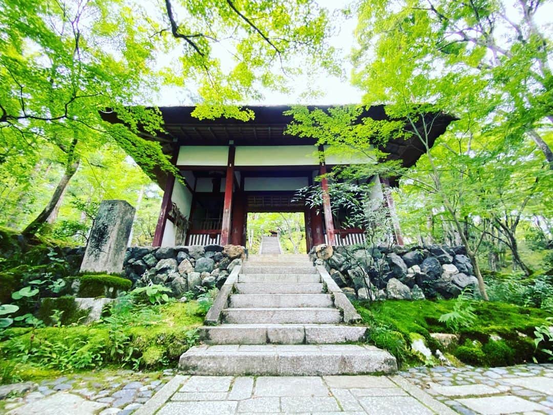 出原大樹のインスタグラム：「開門待ちで常寂光寺。もちろん誰も待ってない。 京都に住む特権。  紅葉の名所で、この9月に入っても青紅葉が鮮やかに生え、心が和む。  境内は緑陰に癒されるまた秋に訪れたい名刹です。   #常寂光寺 #京都」