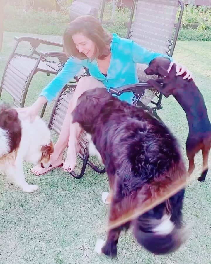 Giovanna Antonelliのインスタグラム：「Um sentimento de domingo.... cheio de beijos!!!! 🐶🐕🐩🐕‍🦺」