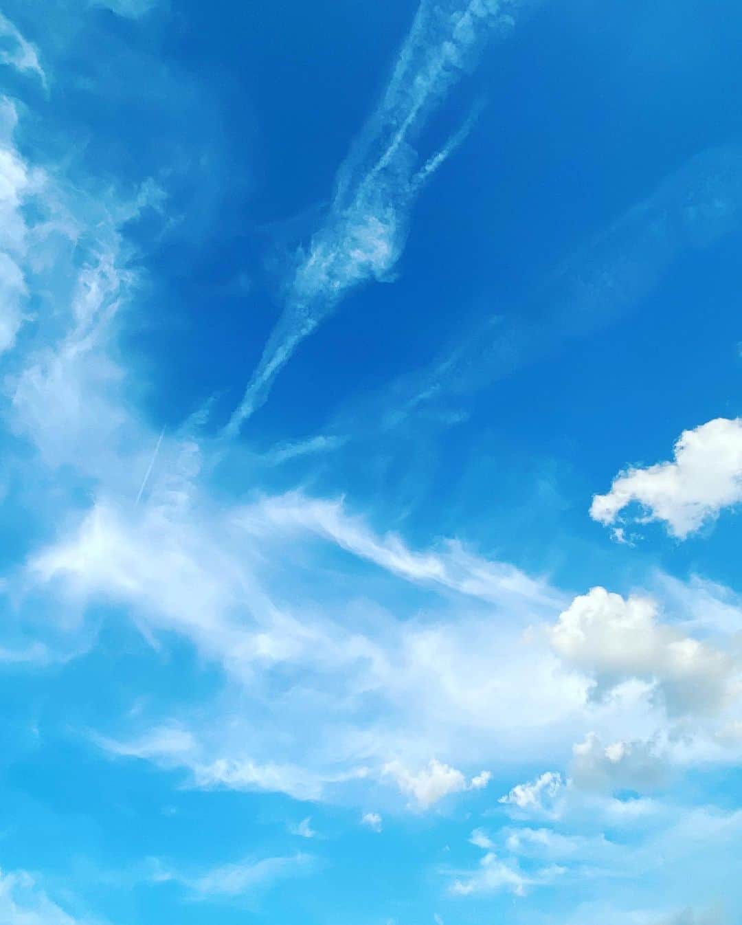 大島央照さんのインスタグラム写真 - (大島央照Instagram)「最近は自然に触れることが一番の癒しかもしれない。空、月、緑、風、水、etc.. 穏やかな自然をこれからも見ていきたいな。  沖縄、九州地方のみな様、どうか台風お気をつけください。  皆様の安全をお祈りしています。  #自然 #空 #雲 #大地 #九州大好きです #cloud #blue #natural #sky #kyoto #sea #photo #photograph #台風気をつけて」9月6日 21時04分 - chiakioshima