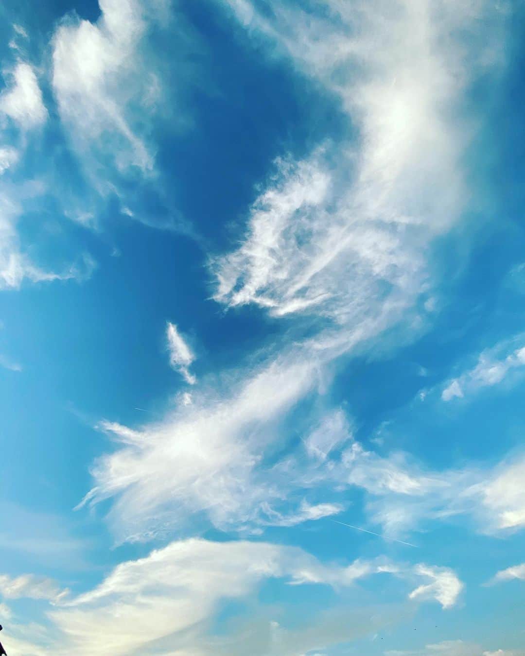 大島央照さんのインスタグラム写真 - (大島央照Instagram)「最近は自然に触れることが一番の癒しかもしれない。空、月、緑、風、水、etc.. 穏やかな自然をこれからも見ていきたいな。  沖縄、九州地方のみな様、どうか台風お気をつけください。  皆様の安全をお祈りしています。  #自然 #空 #雲 #大地 #九州大好きです #cloud #blue #natural #sky #kyoto #sea #photo #photograph #台風気をつけて」9月6日 21時04分 - chiakioshima