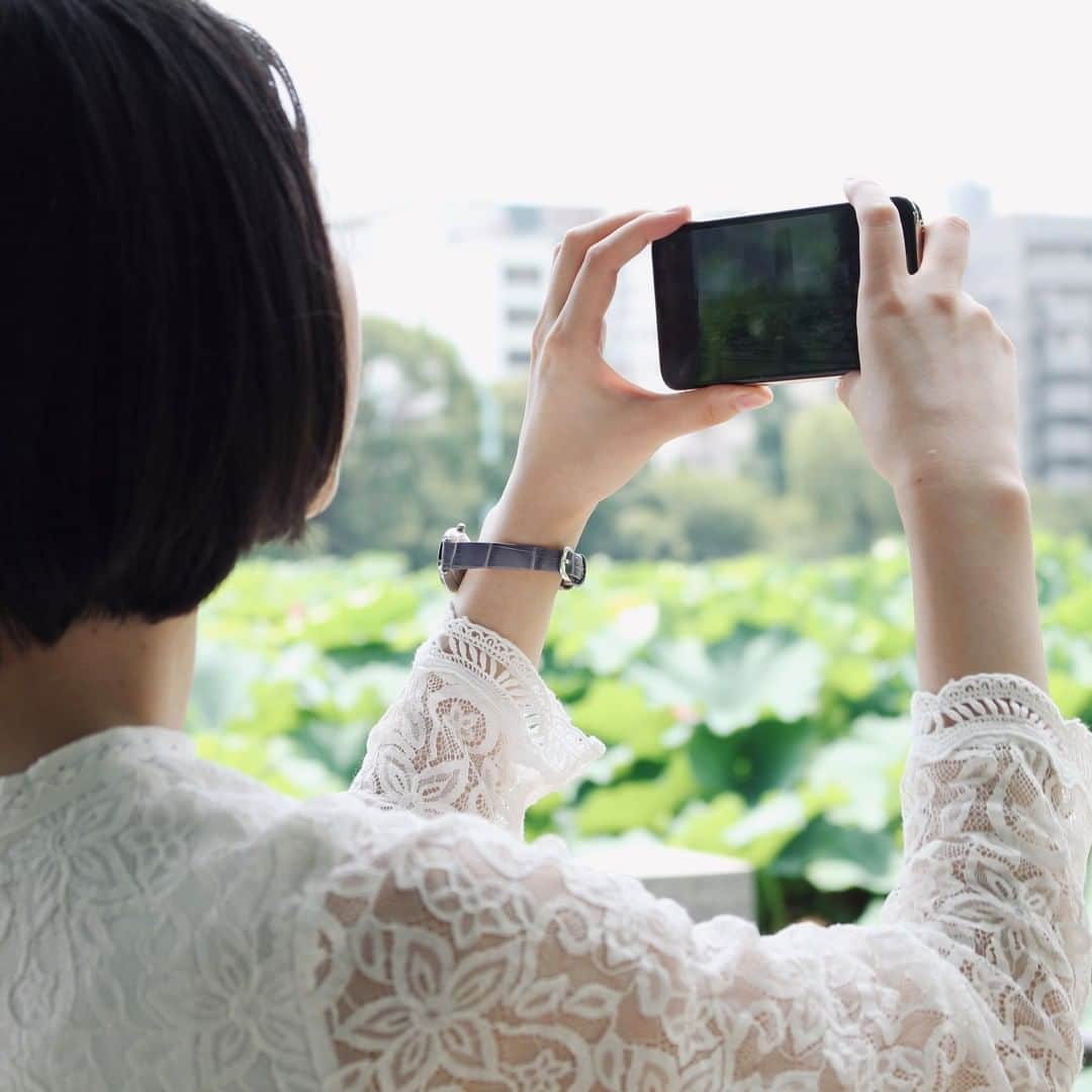 Fashion Is Funさんのインスタグラム写真 - (Fashion Is FunInstagram)「【FIF×上野歩き】 上野公園の蓮たちは、思わず写真におさめたくなる美しさ。 お、大きい👀！！  夏に見ごろを迎える蓮の花ですが、その時期でも午前中でないと花は閉じてしまうそうです。 お昼過ぎでも咲いている花があれば、その花はその日を最後に散ってしまう花。なんだか切ないですね…。 たくさんの花が見たい場合はぜひ午前中に訪れてみてください。 （ちなみに写真は11時頃。もっと早ければたくさん咲いていたのかも？）  #fif #fif時計ベルト #fifwatchbelt #腕時計 #時計ベルト #手元くら部 #腕時計女子 #パープルカラー #時計好きさんと繋がりたい #上野恩賜公園 #蓮の花」9月6日 21時00分 - fifbelt