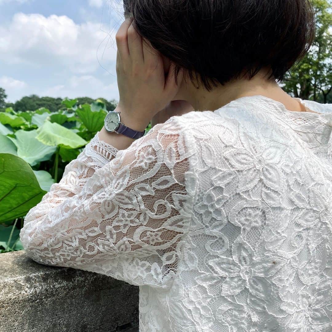 Fashion Is Funさんのインスタグラム写真 - (Fashion Is FunInstagram)「【FIF×上野歩き】 上野公園の蓮たちは、思わず写真におさめたくなる美しさ。 お、大きい👀！！  夏に見ごろを迎える蓮の花ですが、その時期でも午前中でないと花は閉じてしまうそうです。 お昼過ぎでも咲いている花があれば、その花はその日を最後に散ってしまう花。なんだか切ないですね…。 たくさんの花が見たい場合はぜひ午前中に訪れてみてください。 （ちなみに写真は11時頃。もっと早ければたくさん咲いていたのかも？）  #fif #fif時計ベルト #fifwatchbelt #腕時計 #時計ベルト #手元くら部 #腕時計女子 #パープルカラー #時計好きさんと繋がりたい #上野恩賜公園 #蓮の花」9月6日 21時00分 - fifbelt