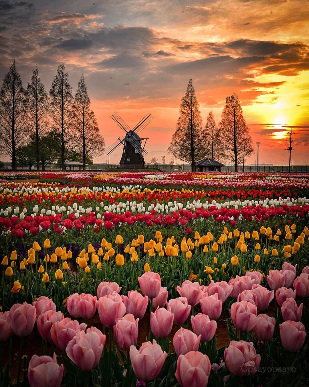 ❤?❤❤❤ Sayo ??❤?❤️❤️❤️のグルメインスタ