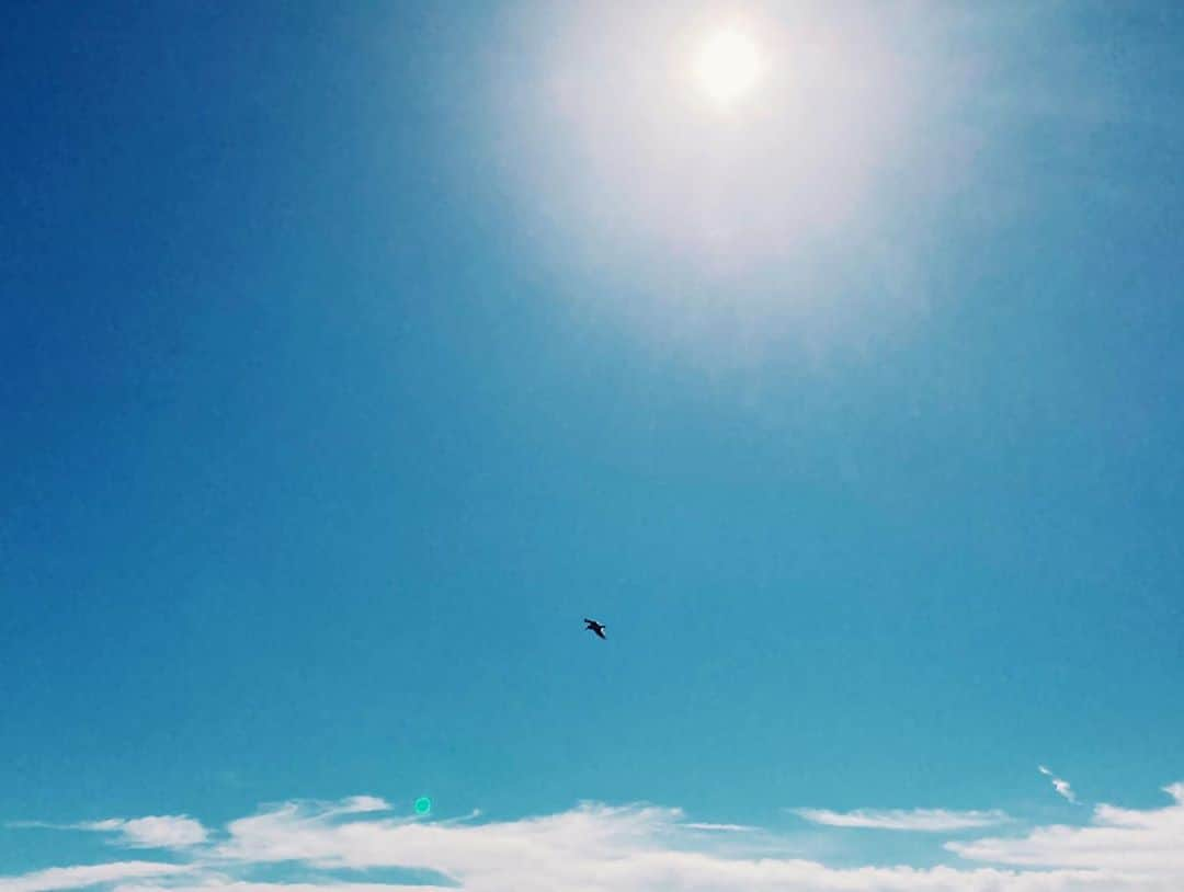 Leeさんのインスタグラム写真 - (LeeInstagram)「地球ってすごいなあ🌏   #海 #空 #地球 #自然」9月6日 21時23分 - lee_nova_10