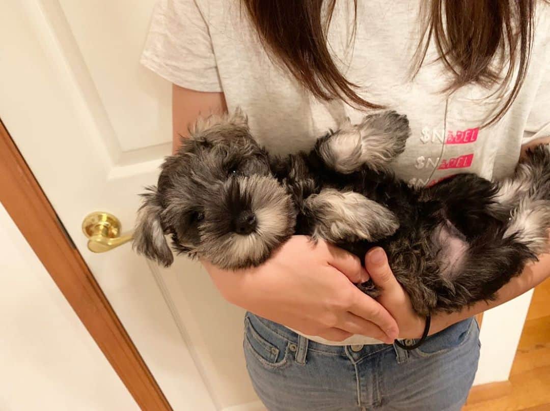 逢月あかりのインスタグラム