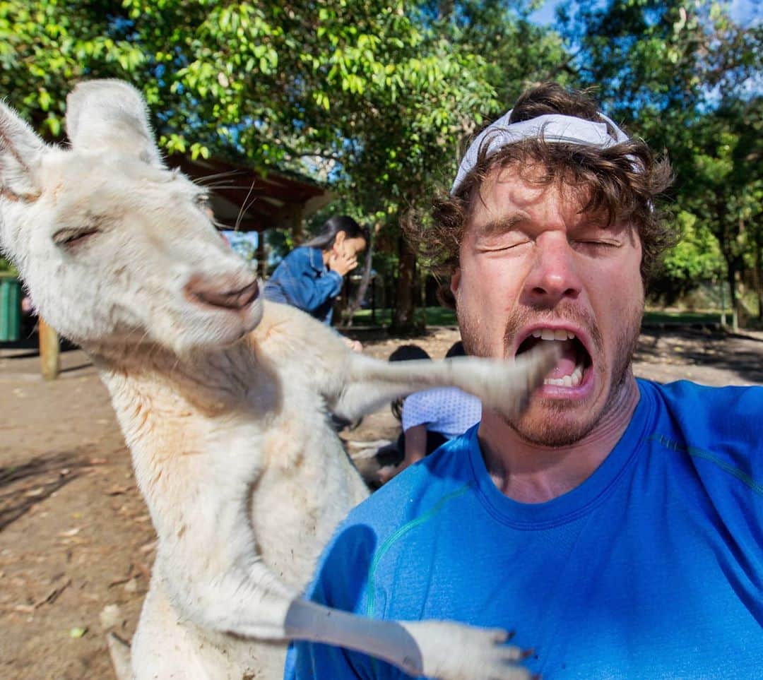 アラン・ディクソンのインスタグラム：「New Video! Click my bio link. I was punched in the face by a kangaoo. If you don't click, he'll know and you'll be next.」