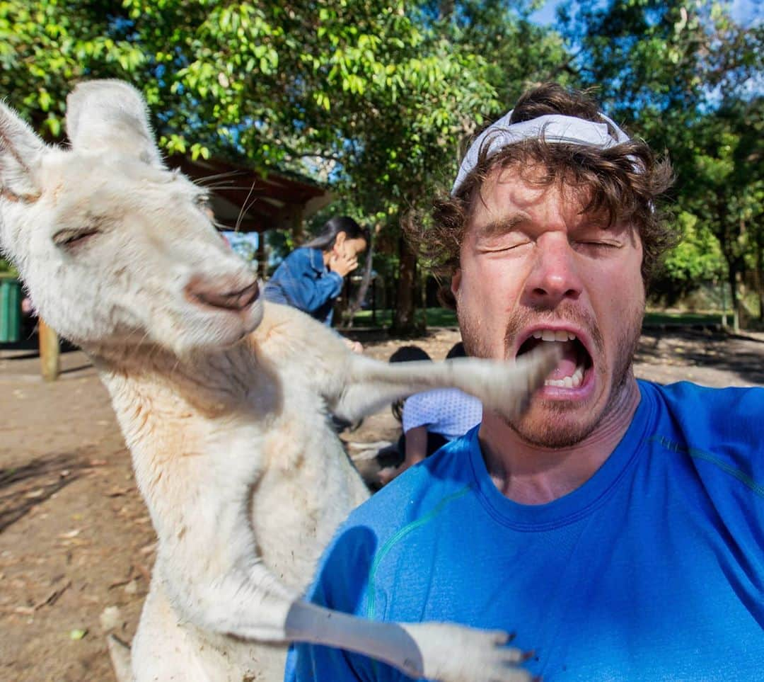 アラン・ディクソンさんのインスタグラム写真 - (アラン・ディクソンInstagram)「New Video! Click my bio link. I was punched in the face by a kangaoo. If you don't click, he'll know and you'll be next.」9月6日 21時28分 - daxon