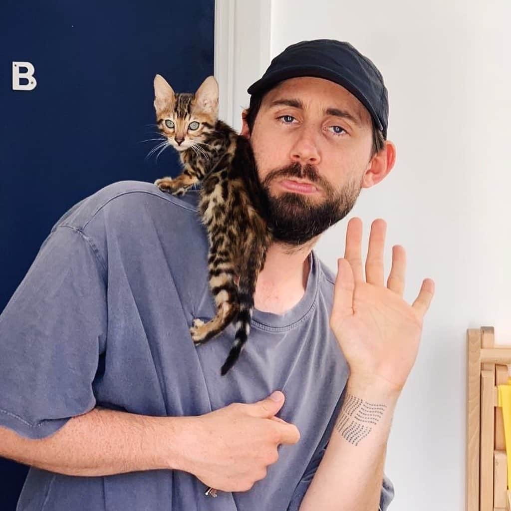 YEARS & YEARSさんのインスタグラム写真 - (YEARS & YEARSInstagram)「blessing your feed with more cute kitten content #LaszloYears 😍」9月6日 21時57分 - yearsandyears