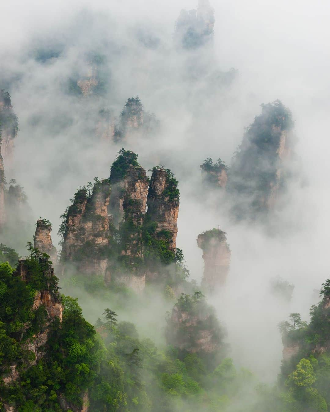 Michael Yamashitaさんのインスタグラム写真 - (Michael YamashitaInstagram)「Mountains in the mist, Wulingyuan National Park, Hunan, China: this  UNESCO World Heritage Site  is noted for more than 3,000 sandstone pillars and peaks many over 200 metres (660 ft) in height. It was the inspiration for the Hallelujah Floating Mountains of Pandora in the block buster film Avatar.  The trick to photographing these pillars  is to capture them during or after a rain when the super moist air creates a fog condition. I photographed these mountains four times in four different seasons and only saw the fog twice and for a fleeting less than an hour time frame. Without fog, in my opinion there is no picture. #wulingyuannationalpark #wulingyuan #zhangjiajie #avatar #hallelujahmountains #chineselandscape」9月6日 22時09分 - yamashitaphoto