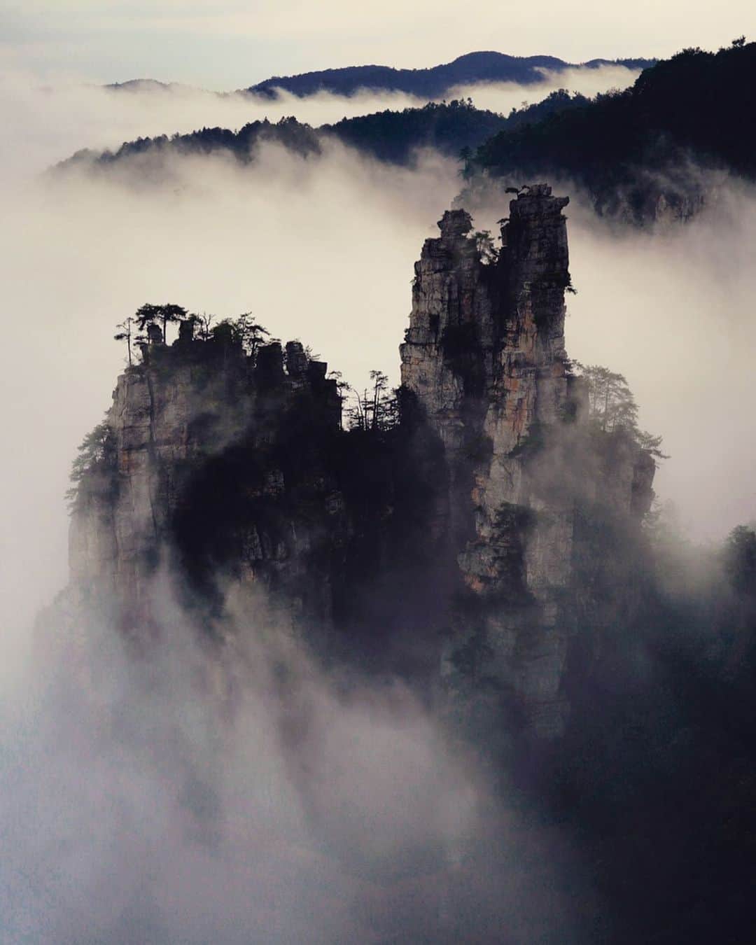 Michael Yamashitaさんのインスタグラム写真 - (Michael YamashitaInstagram)「Mountains in the mist, Wulingyuan National Park, Hunan, China: this  UNESCO World Heritage Site  is noted for more than 3,000 sandstone pillars and peaks many over 200 metres (660 ft) in height. It was the inspiration for the Hallelujah Floating Mountains of Pandora in the block buster film Avatar.  The trick to photographing these pillars  is to capture them during or after a rain when the super moist air creates a fog condition. I photographed these mountains four times in four different seasons and only saw the fog twice and for a fleeting less than an hour time frame. Without fog, in my opinion there is no picture. #wulingyuannationalpark #wulingyuan #zhangjiajie #avatar #hallelujahmountains #chineselandscape」9月6日 22時09分 - yamashitaphoto