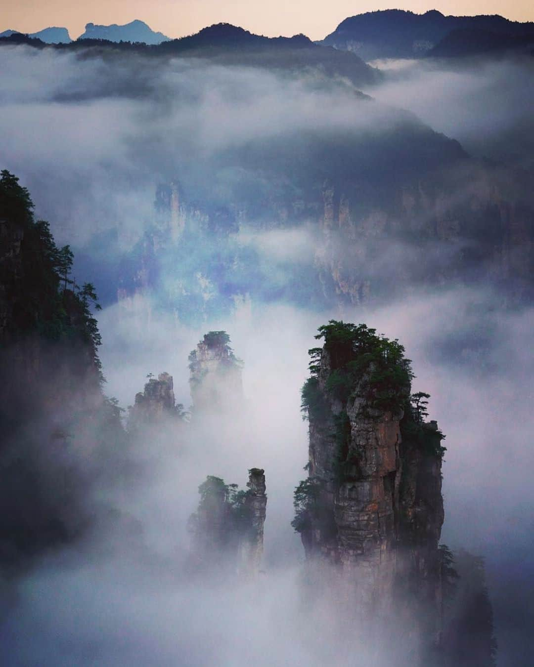 Michael Yamashitaさんのインスタグラム写真 - (Michael YamashitaInstagram)「Mountains in the mist, Wulingyuan National Park, Hunan, China: this  UNESCO World Heritage Site  is noted for more than 3,000 sandstone pillars and peaks many over 200 metres (660 ft) in height. It was the inspiration for the Hallelujah Floating Mountains of Pandora in the block buster film Avatar.  The trick to photographing these pillars  is to capture them during or after a rain when the super moist air creates a fog condition. I photographed these mountains four times in four different seasons and only saw the fog twice and for a fleeting less than an hour time frame. Without fog, in my opinion there is no picture. #wulingyuannationalpark #wulingyuan #zhangjiajie #avatar #hallelujahmountains #chineselandscape」9月6日 22時09分 - yamashitaphoto