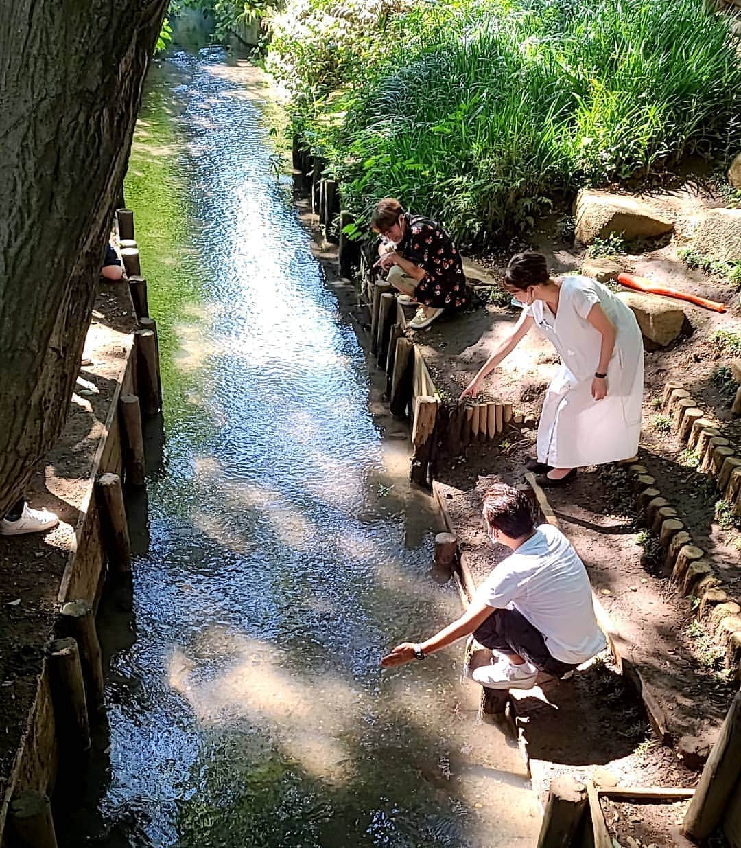 小高亮さんのインスタグラム写真 - (小高亮Instagram)「本日の「モヤさま」は小平です。  東京なのにどこか懐かしい…そんな情景をお楽しみ下さい…  #モヤさま #小平 #プチ田舎 #丸ポスト #玉川上水 #笹舟」9月6日 13時47分 - odaka_p