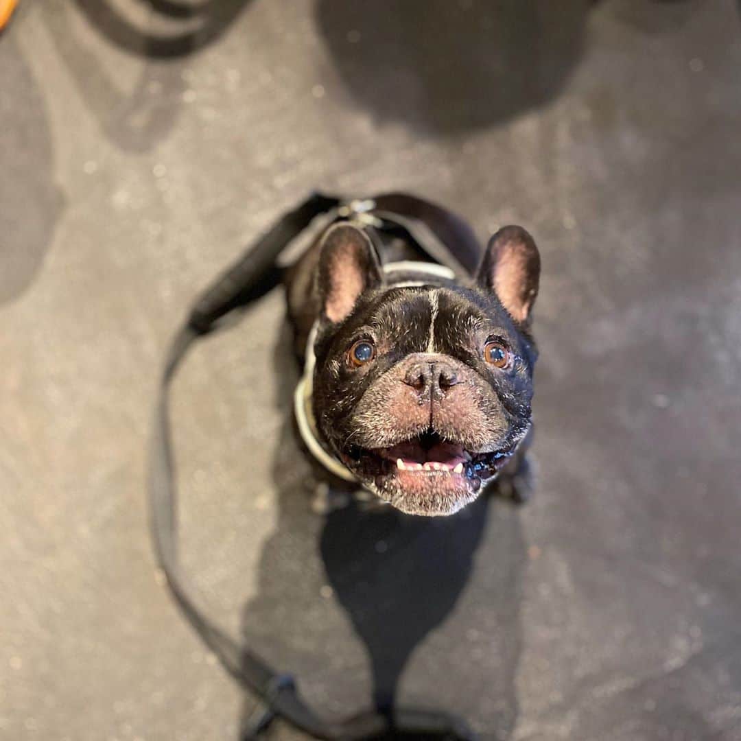 Turbo_dad フレブルのターボのグルメインスタ