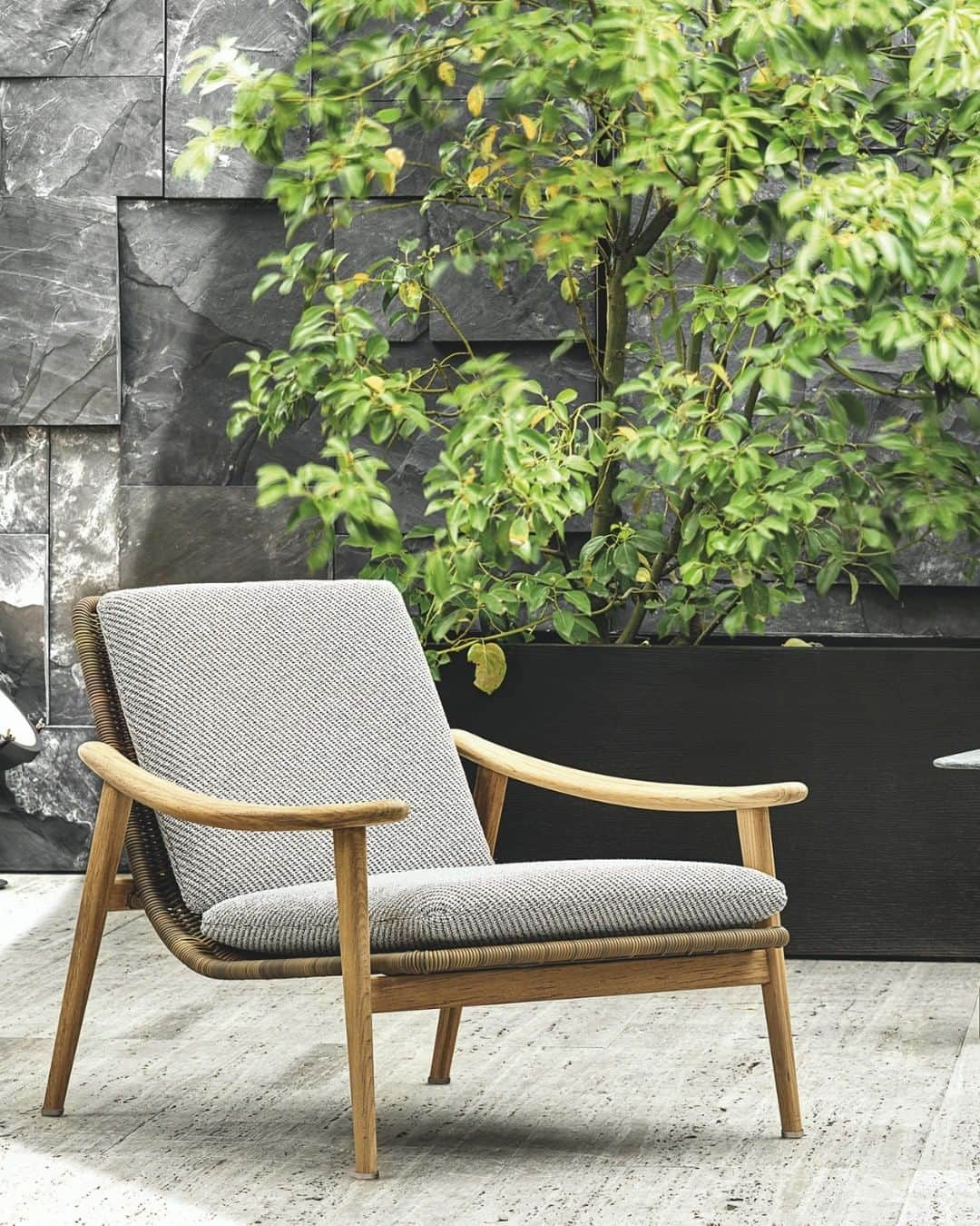 Minotti Londonさんのインスタグラム写真 - (Minotti LondonInstagram)「The Fynn Outdoor armchairs and dining chairs by @gamfratesi are inspired by nature.  With their sleak teak frame, they bring pure emotions in the nature.  Discover Fynn via the link in our bio.  #minotti2020collection #minotti #minottilondon #fynn #armchair #chair #madeinitaly #gamfratesi #rodolfodordoni #couture #design #creativity #indoor #outdoor #interiordesign #designlover #architecture #furniture #luxurylifestyle #luxuryhomes #luxury」9月6日 15時18分 - minottilondon