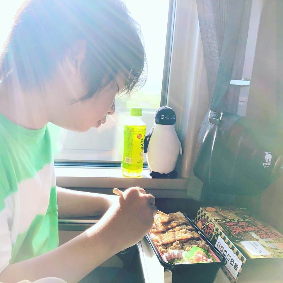 がっちゃんのインスタグラム：「箱根山麓豚弁当🐽✨ 朝早かったけど買えました💕 ロマンスカーカフェでパンも買ったけどね（笑） 美味しかった✨  #駅弁 #ekiben #bento」