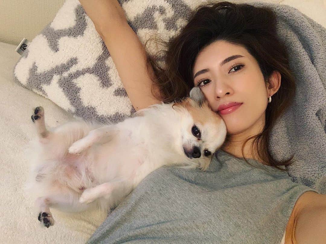 柳めぐみのインスタグラム：「. . チョロとまぁ〜ったりな日曜日💕 夜はみんなとのフリートークたのしみだな😚 ほんで今日何食べよ🤤 . #sunday #日曜日 #まったり #ゴロゴロ #雷もゴロゴロ #チョロはずっと吠えてるから震えてる #showroomでお会いしましょう #食べながらでも #飲みながらでも #ざっくばらんに #お話ししましょう #柳NGなし」