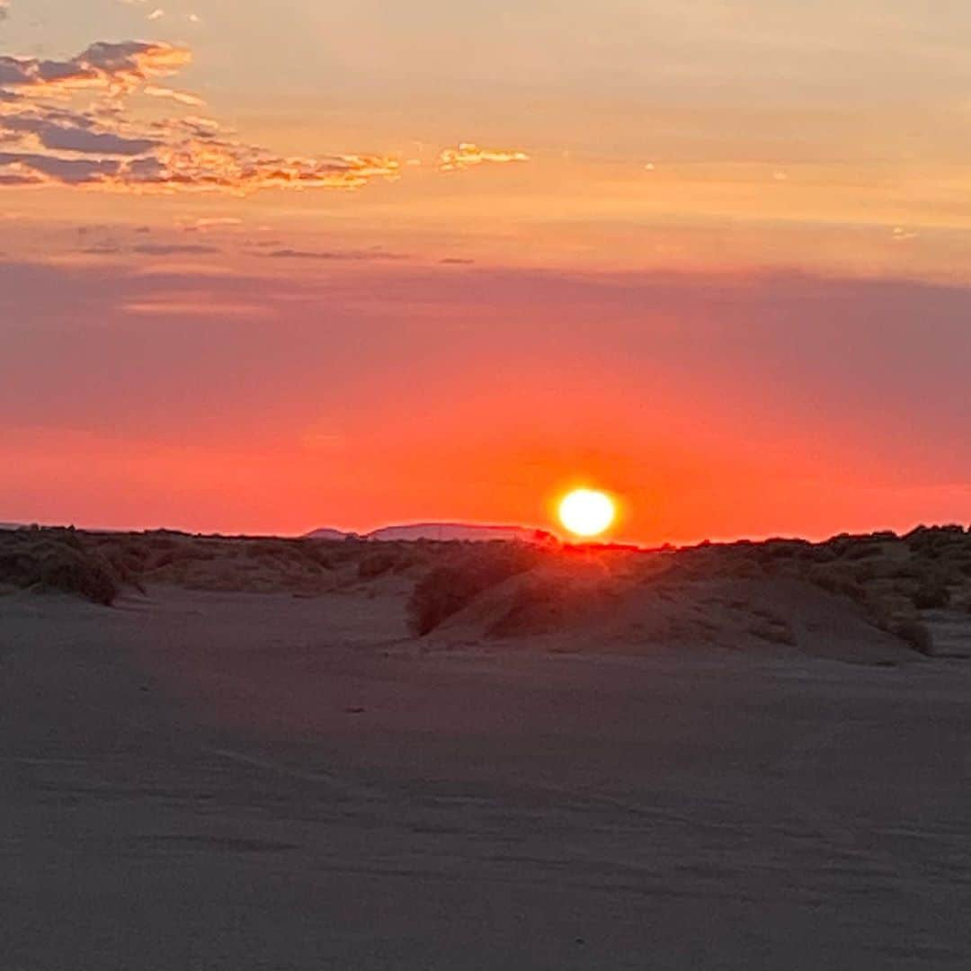 ドット=マリー・ジョーンズのインスタグラム：「VERY EXCITED TO HAVE GONE TO SET TODAY!! CAN’T WAIT TO START FILMING THIS WEEK! THE DESERT SKY IS STUNNING YET THE HEAT IS NOT.  A BRISK 112o TODAY JUST LIKE AN OCEAN BREEZE! 😑🔥🤬🥵😰LOVE THE WHOLE CAST AND CREW ALL KICK ASS FOLKS! ❤️👏🏻👏🏻👏🏻 @haviland @reedstillwell @iamrebeccaweil @featheredfilm」