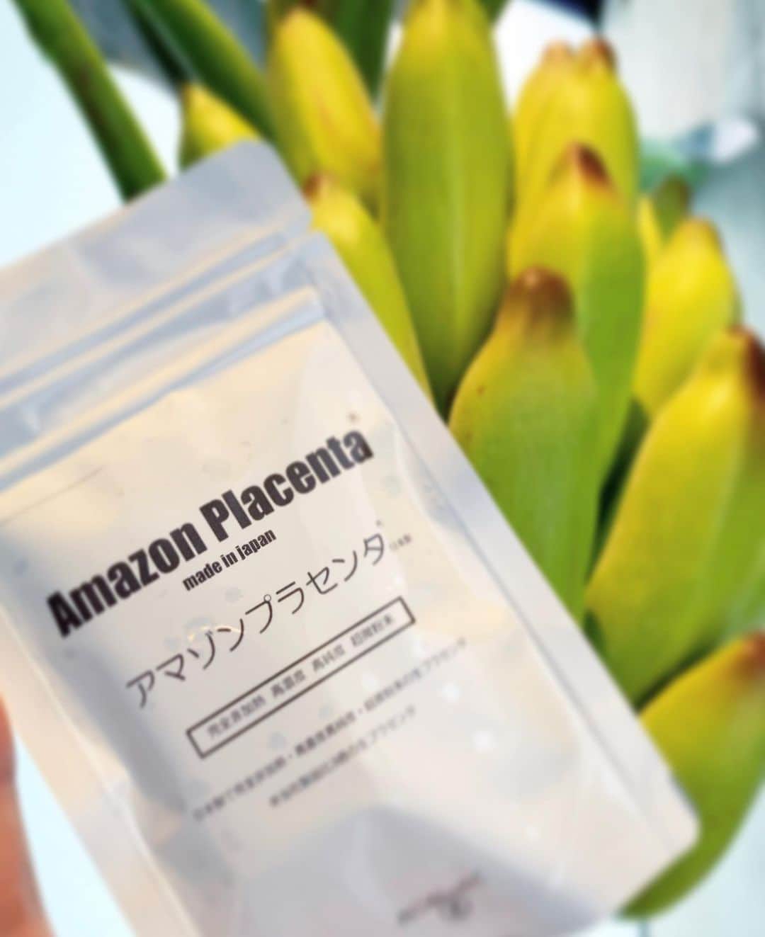 桜井未来さんのインスタグラム写真 - (桜井未来Instagram)「ついに手を出してしまいました😂✨アマゾンプラセンタ( @amazonplacenta )  日本で唯一、完全非加熱生プラセンタの製造販売メーカーさんなのです😂👏✨  完全非加熱・高濃度高純度・超微粉末腸溶顆粒の生プラセンタ✨  まだ、飲み始めたばかりですが、朝起きた時の疲れの取れ方が違うような気がします😊💓 プラセンタと言えば、美容効果が有名ですし、飲み続けて美容効果も期待したいです😘💓  t.c.mama.p のクーポンコードで半額で購入出来ますよ😊！  https://store.shopping.yahoo.co.jp/amazonplacenta/apmj1001.html  ・ ・ ・ ＊アマゾンプラセンタ＊  https://www.instagram.com/amazonplacenta/  https://bit.ly/2Zdjc2F  ・ ・ ・ #プラセンタ #生プラセンタ #アマゾンプラセンタ #美容 #美容オタク #男の子ママ #女の子ママ #ママ #baby #ママ友募集 #赤ちゃんのいる生活 #ママサークル #ママ会 #都内ママ #ベビスタグラム #mamagirl #ベビフル #コドモダカラ #コドモノ #ママリ #親バカ部 #新米ママ東京部 #ベビモ #엄마　#妈妈 #媽媽 #Mom #母親　#母亲 #어머니.」9月6日 16時35分 - miki.sakurai0214