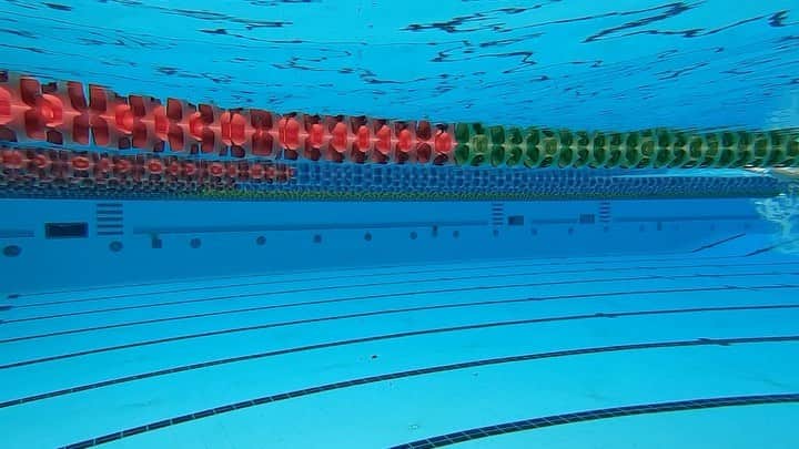 マディソン・ウィルソンのインスタグラム：「Zooming in @adidas_swim」