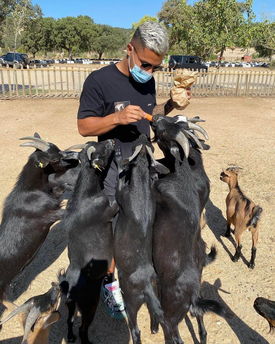 クチョ・エルナンデスさんのインスタグラム写真 - (クチョ・エルナンデスInstagram)「🐐🥕」9月6日 22時31分 - cuchohernandez