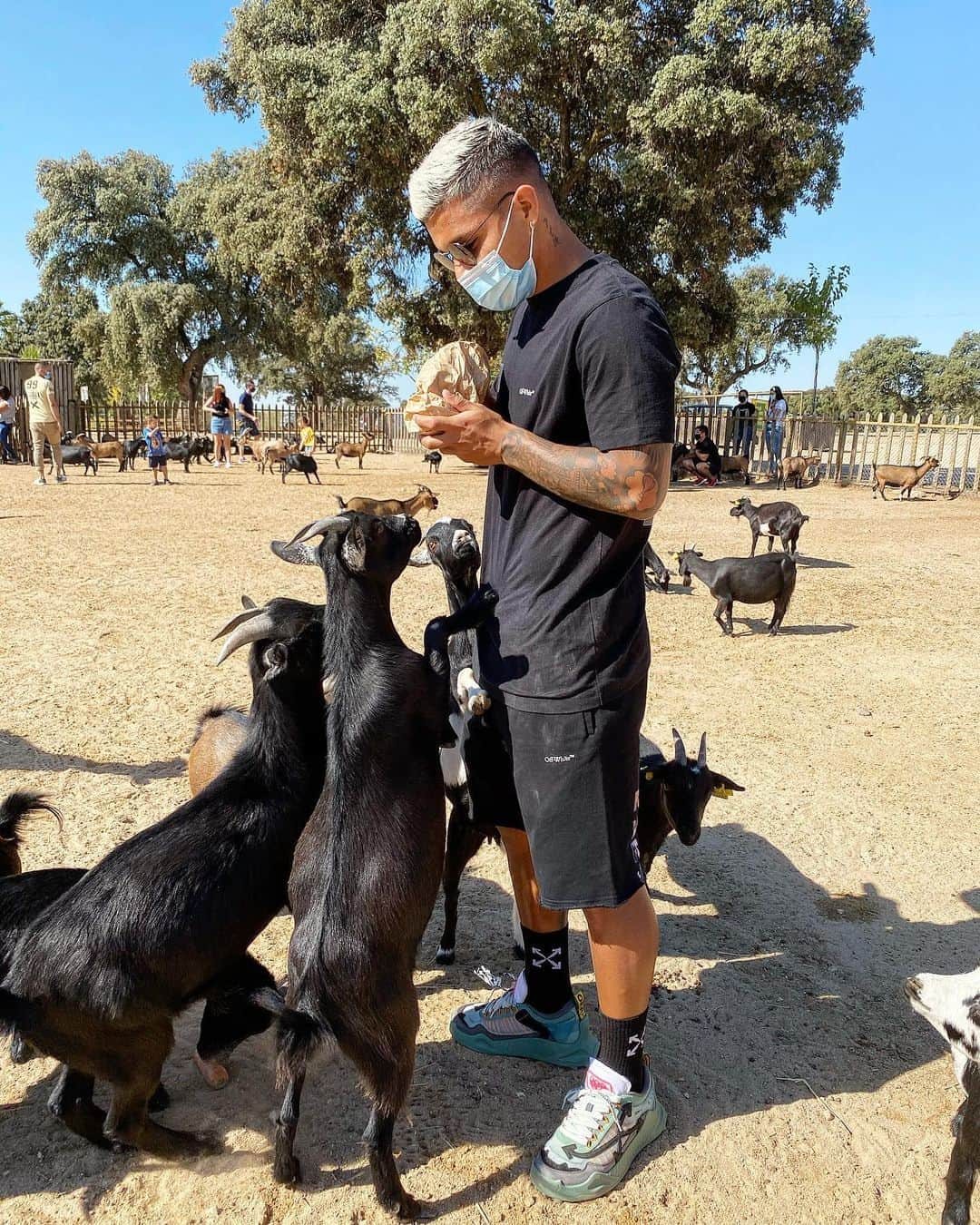 クチョ・エルナンデスさんのインスタグラム写真 - (クチョ・エルナンデスInstagram)「🐐🥕」9月6日 22時31分 - cuchohernandez