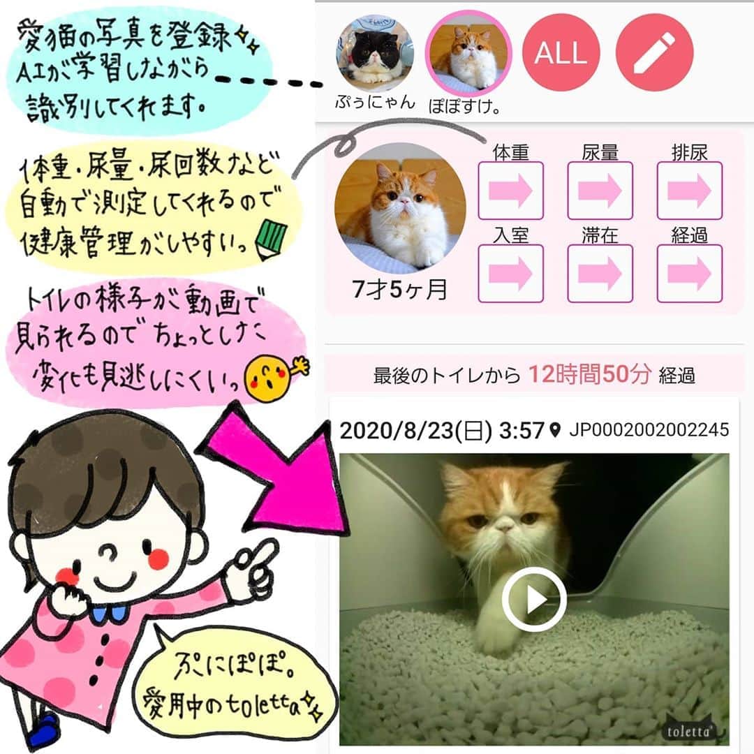 なっつ。のインスタグラム