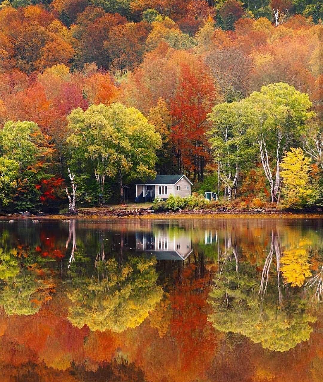 wonderful natureのインスタグラム：「Photo by @snappedbycam check out his feed for more」