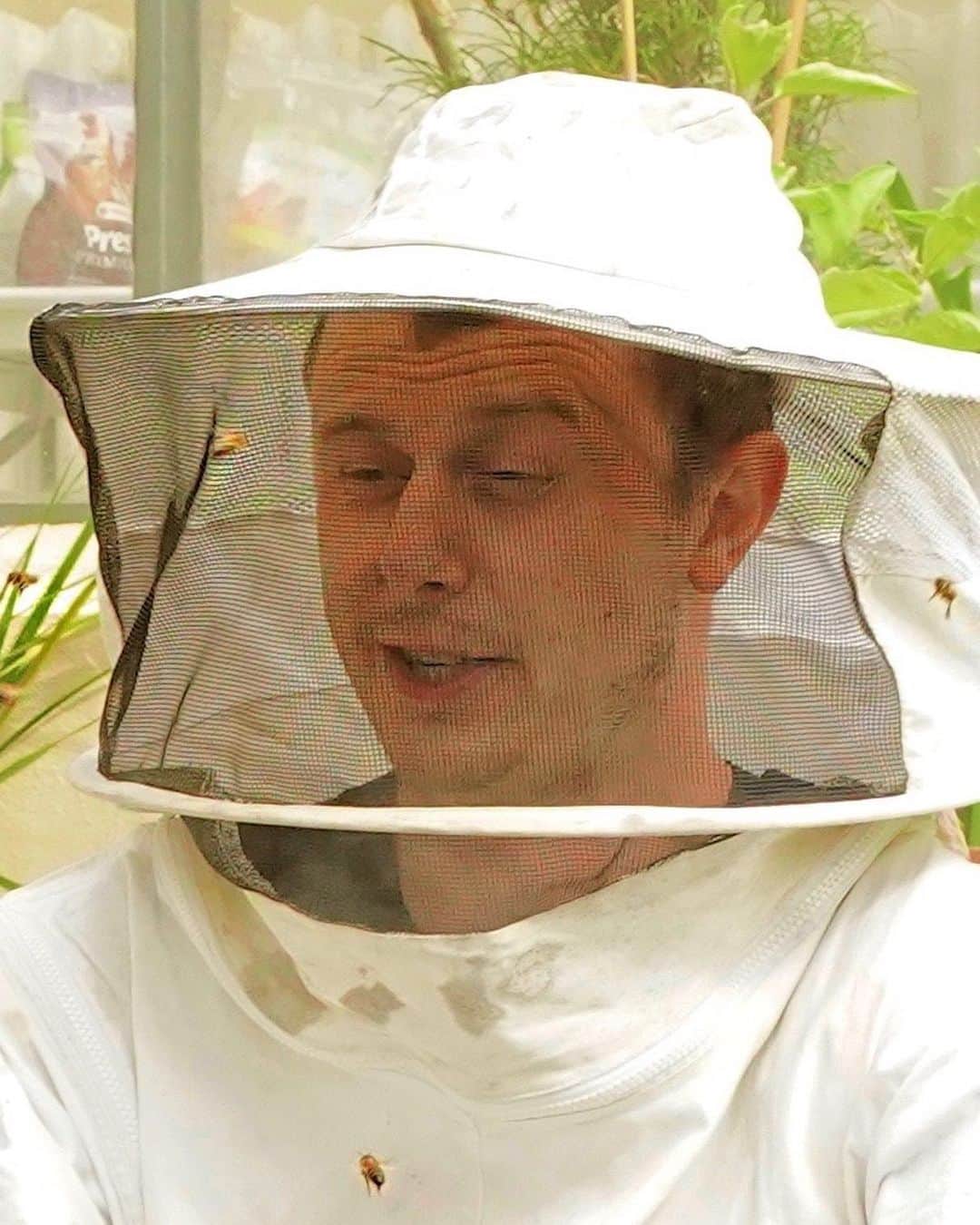 Norman Thavaudさんのインスタグラム写真 - (Norman ThavaudInstagram)「J’ai testé l’apiculture. Selon vous qui domine la situation, moi ou ces 30.000 abeilles ? 🐝🍯」9月6日 18時38分 - normanthavaud