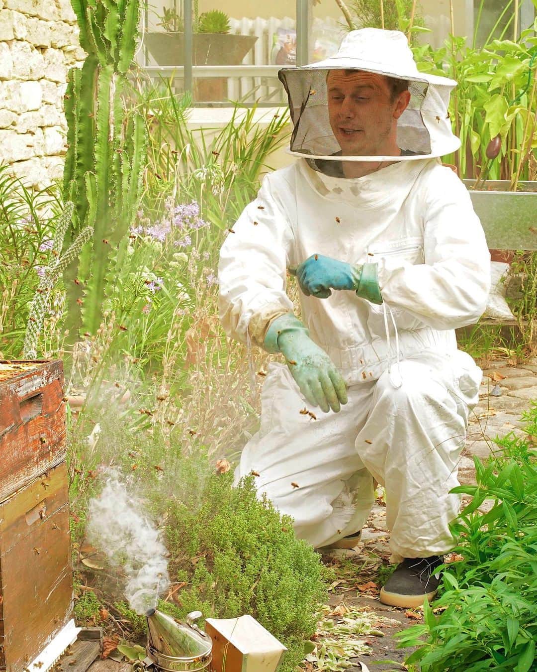 Norman Thavaudのインスタグラム：「J’ai testé l’apiculture. Selon vous qui domine la situation, moi ou ces 30.000 abeilles ? 🐝🍯」