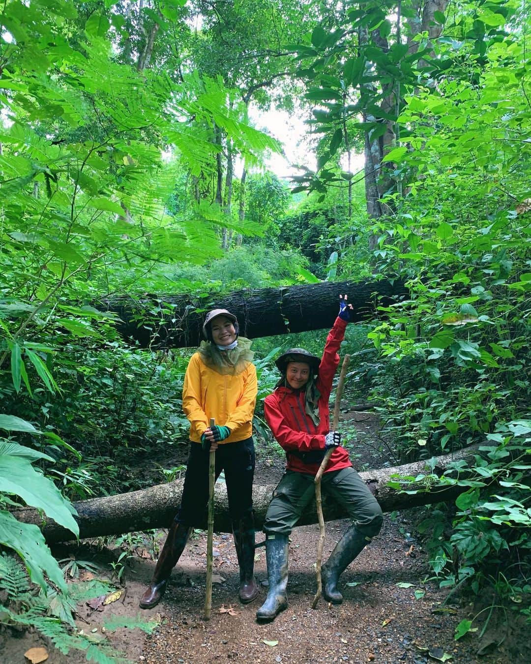 Amata Chittaseneeさんのインスタグラム写真 - (Amata ChittaseneeInstagram)「🤙🏽 Welcome @mooeyewear to the Greens 🌳วงการนี้เข้าแล้วออกยาก ✨🌿 #Chiangdao #Thailand #forestbathing #reconnectwithnature #pearypiegoesgreen」9月6日 18時51分 - pearypie