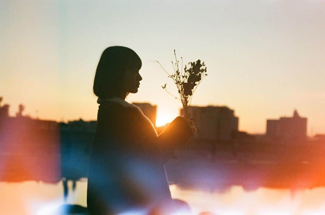 八木響生のインスタグラム：「photo @tsubasa_okita . . . . #photo #photography  #film #filmphoto #filmphotography #filmphoto #film_com  #ig_japan #igersjp #igers_japan  #tokyocameraclub #vague_memories  #film_jp #RECO_ig #hibi_jp #instagram #instagood #instaphoto」