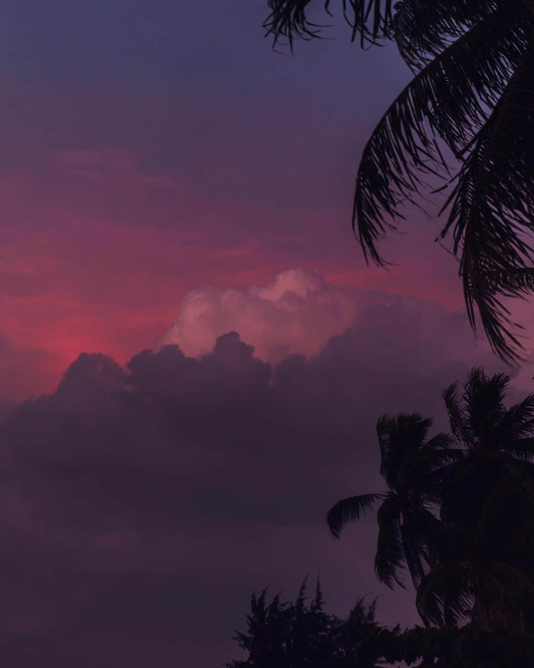 リリー＝ローズ・メロディのインスタグラム：「Those Balinese sunsets never disappoint 🌴💜. Hope you all had a wonderful Sunday.」