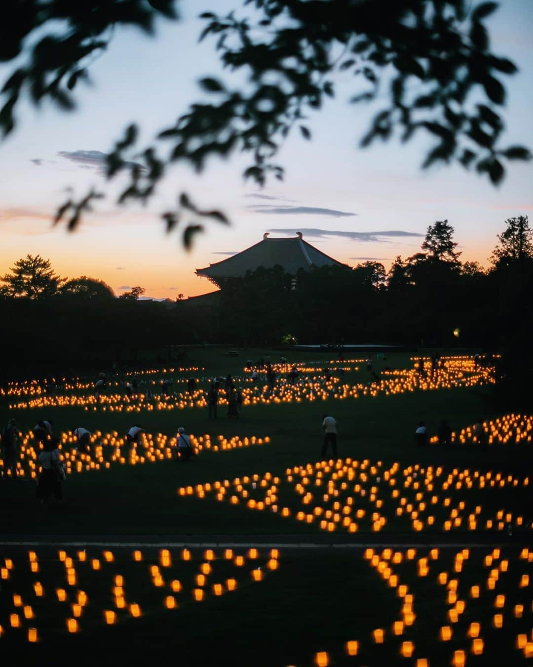 fuka_09さんのインスタグラム写真 - (fuka_09Instagram)「﻿ 去年の燈花会﻿ ﻿ ﻿ 優しい灯が奈良を照らす燈花会は﻿ わたしの夏の奈良のイメージ﻿ ﻿ ﻿ #なら燈花会 #奈良 #nara」9月6日 19時39分 - fuka_09