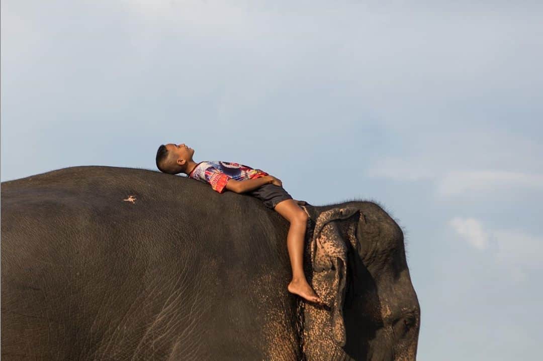 のインスタグラム：「Photo by @amandamustard  In Thailand’s ‘elephant capital’ of Surin, the 12 year old son of a mahout (elephant caretaker) rides one of his father’s elephants back home after a wash in the nearby lake.   #natgeointhefield #asianelephant #thailand #pandemic #surin」