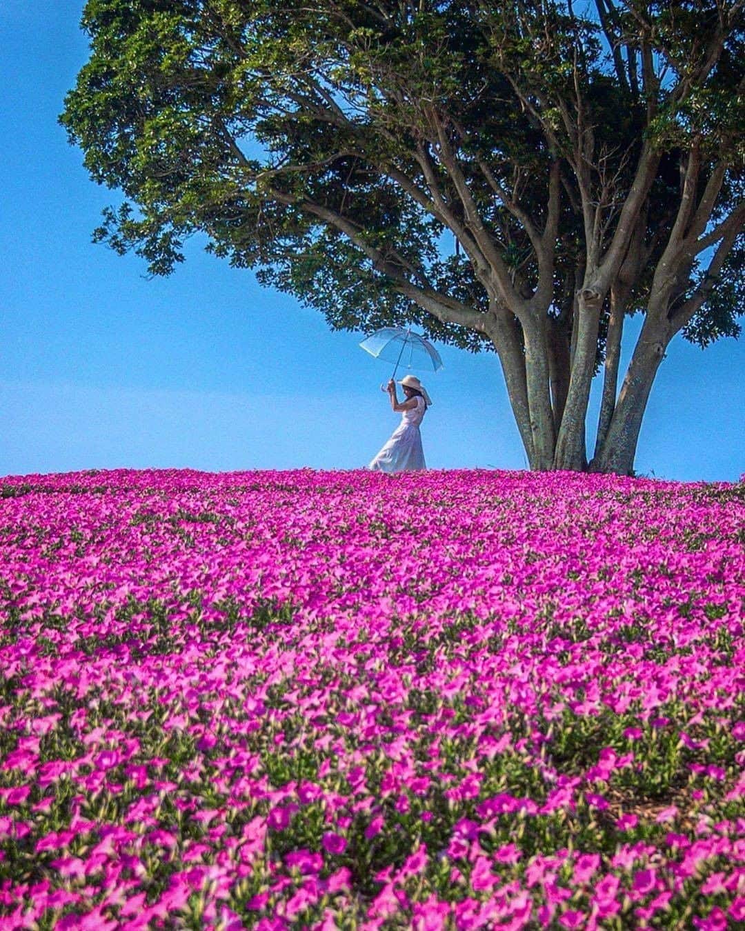 旅行メディア・じゃらん〈公式〉のグルメインスタ