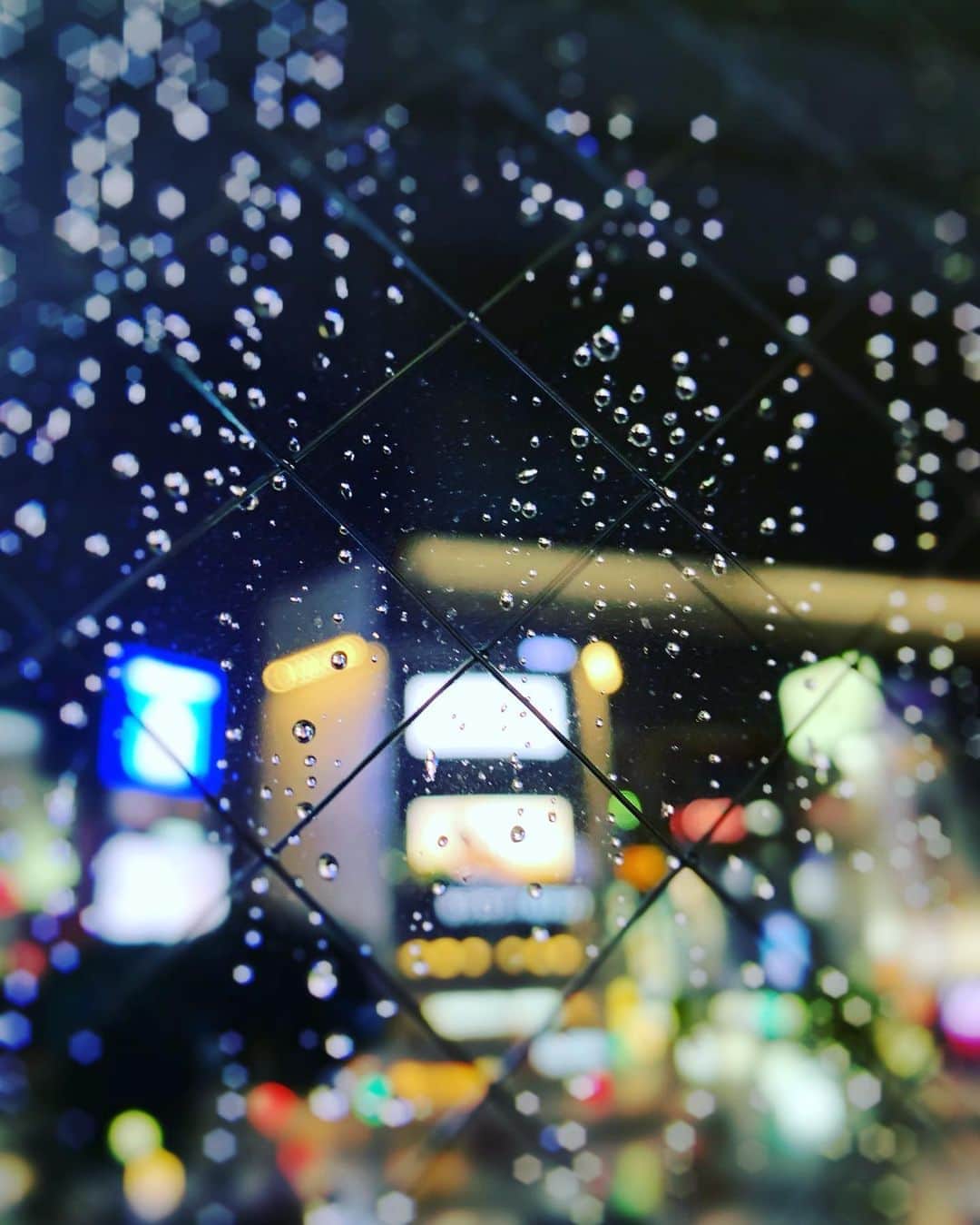 森本ナムアさんのインスタグラム写真 - (森本ナムアInstagram)「Rainy day☔︎ . 雨が輝くように落ち そして汚れたものが落ちて また輝きが覗いている . 空に手を翳すように雨を掴もうとして それが掴めなくても掴めても どっちでもいいんだ☔︎ . この雨が輝いてるなら☔︎ . #shiney」9月6日 20時20分 - namua_morimoto