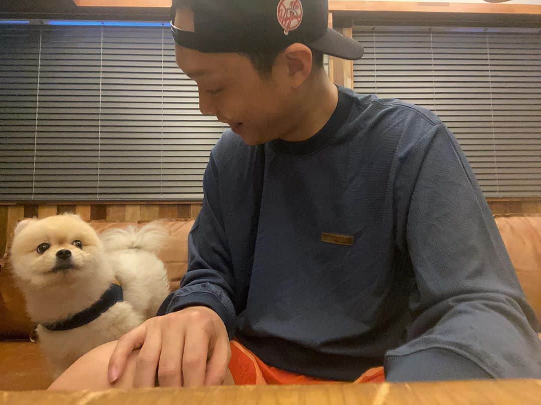 Paloaltoのインスタグラム：「'이새끼머지' 라는 눈으로 쳐다보는 몽크..」