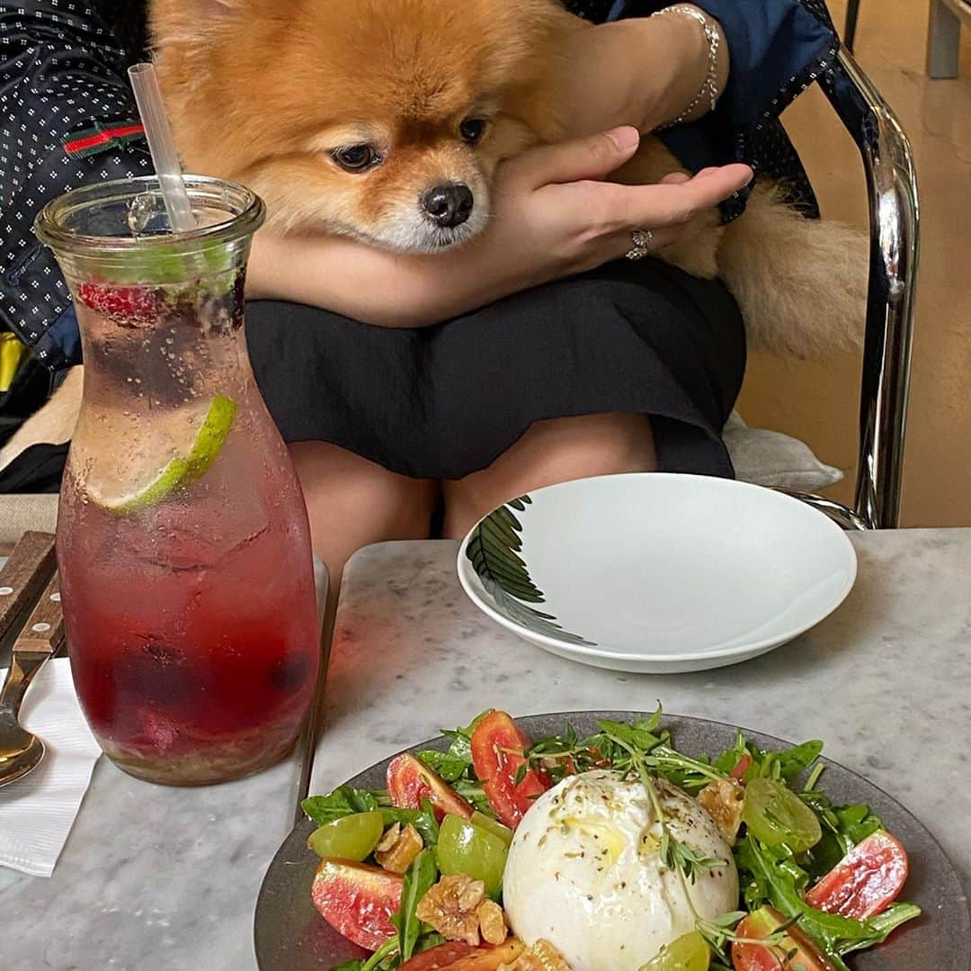 COCO さんのインスタグラム写真 - (COCO Instagram)「today 🌶🥑🐶」9月6日 20時42分 - rilaccoco